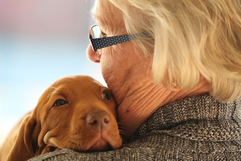 Emotional Support and Presence