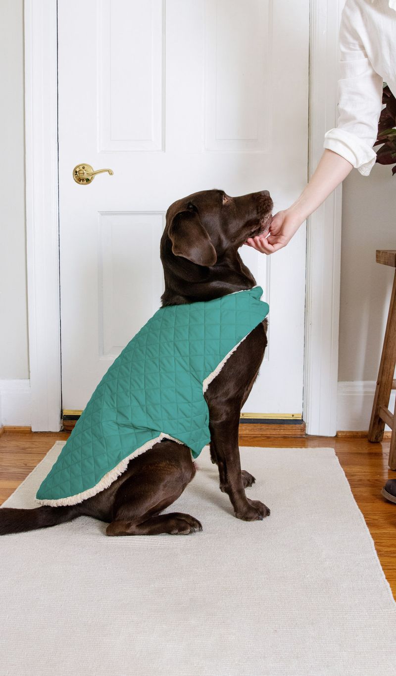 DIY Cooling Vest