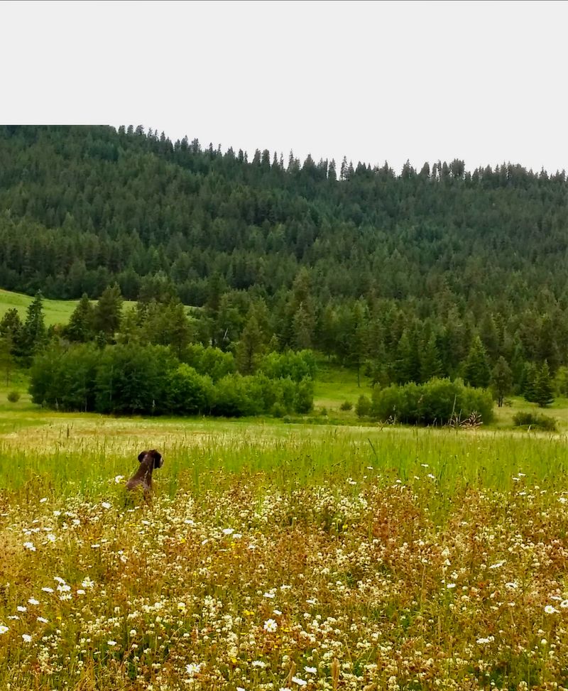 Harmony with Nature