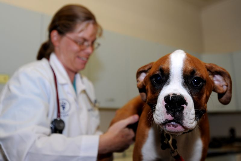 Compassionate Care