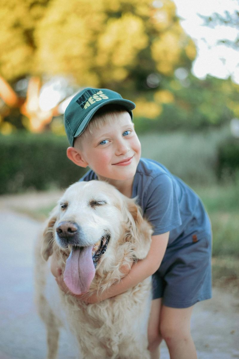 Labrador Retriever