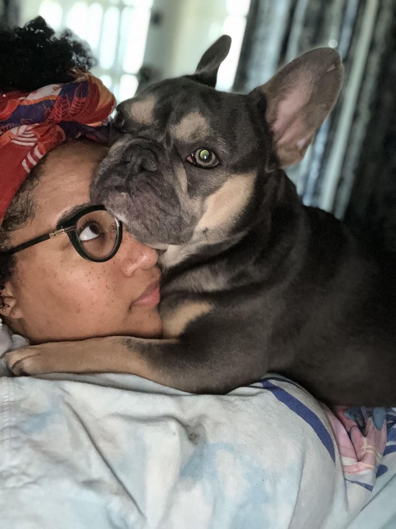 French Bulldog