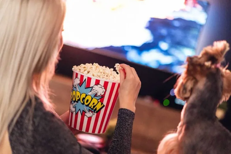 Cozy Movie Night