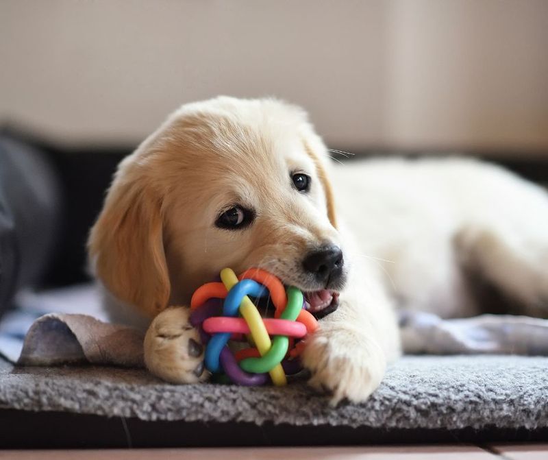 Toys with Bells Inside