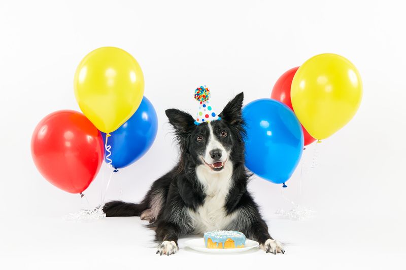 Celebrating Special Moments