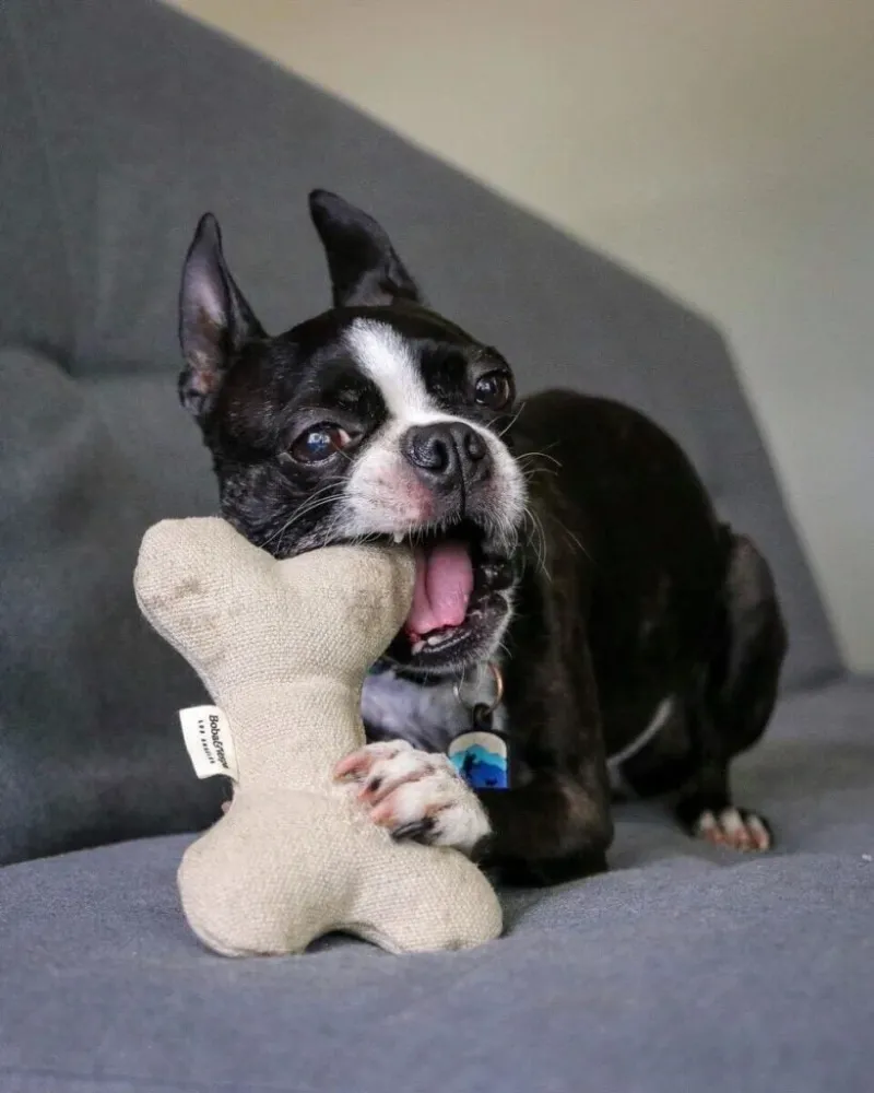 Eco-Friendly Toys Encourage Recycling
