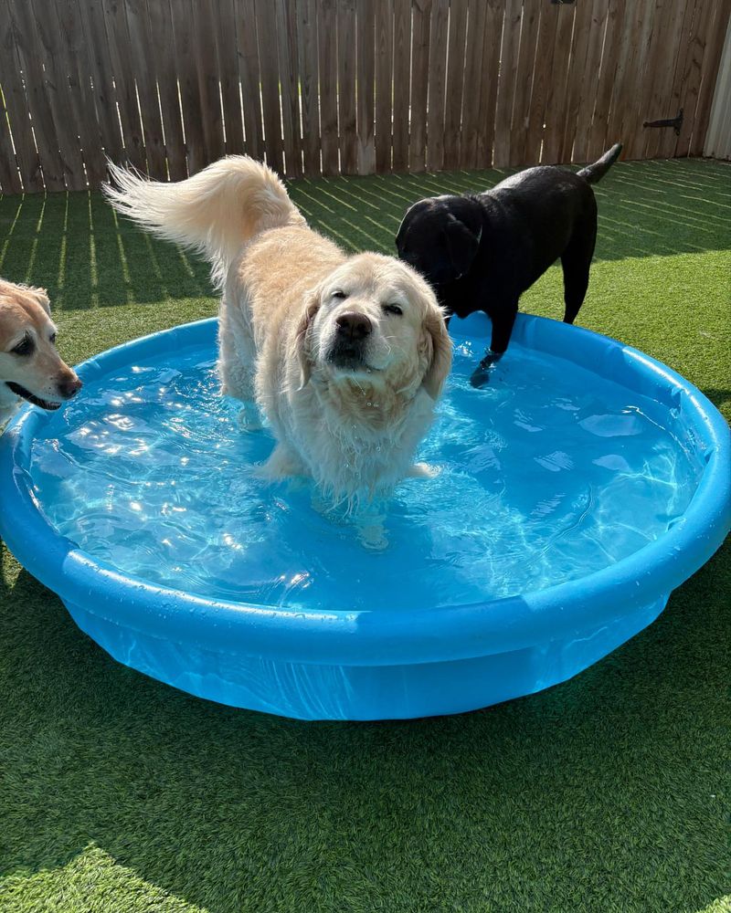 Paddling Pool