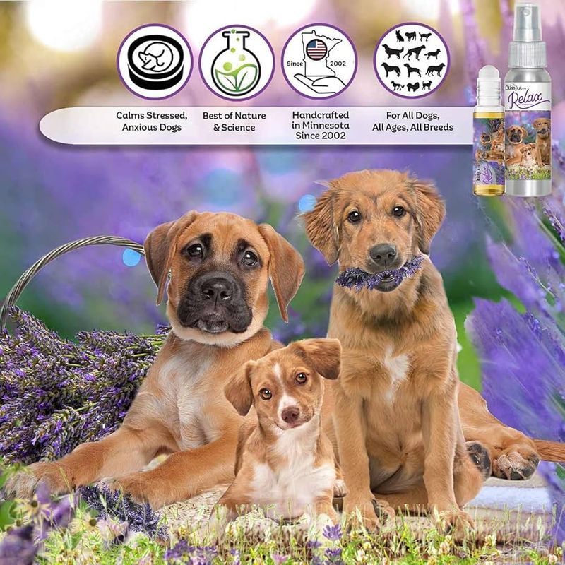 Try Aromatherapy