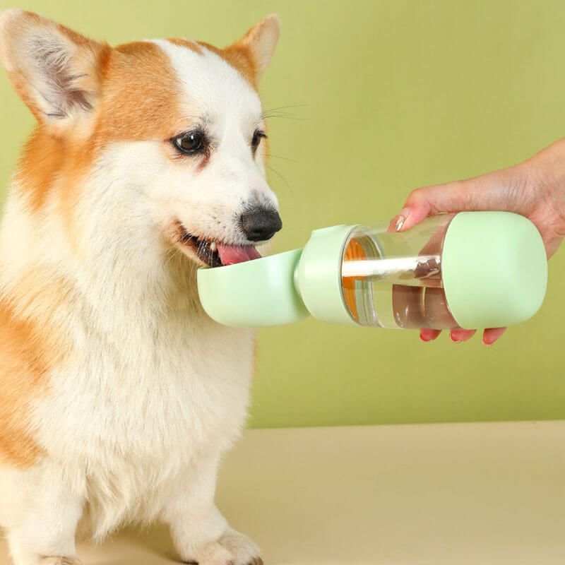 Portable Water Bottle