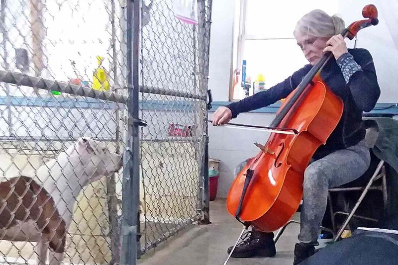 Calming Music