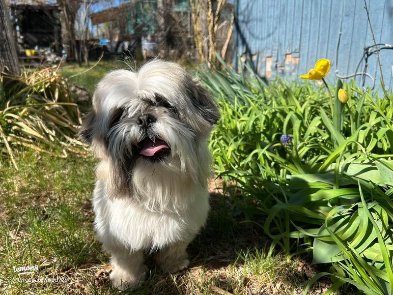 Garden Exploration