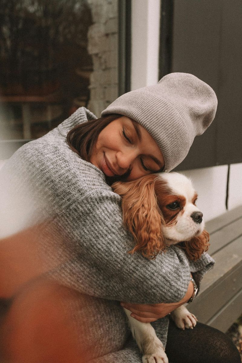 Cavalier King Charles Spaniel