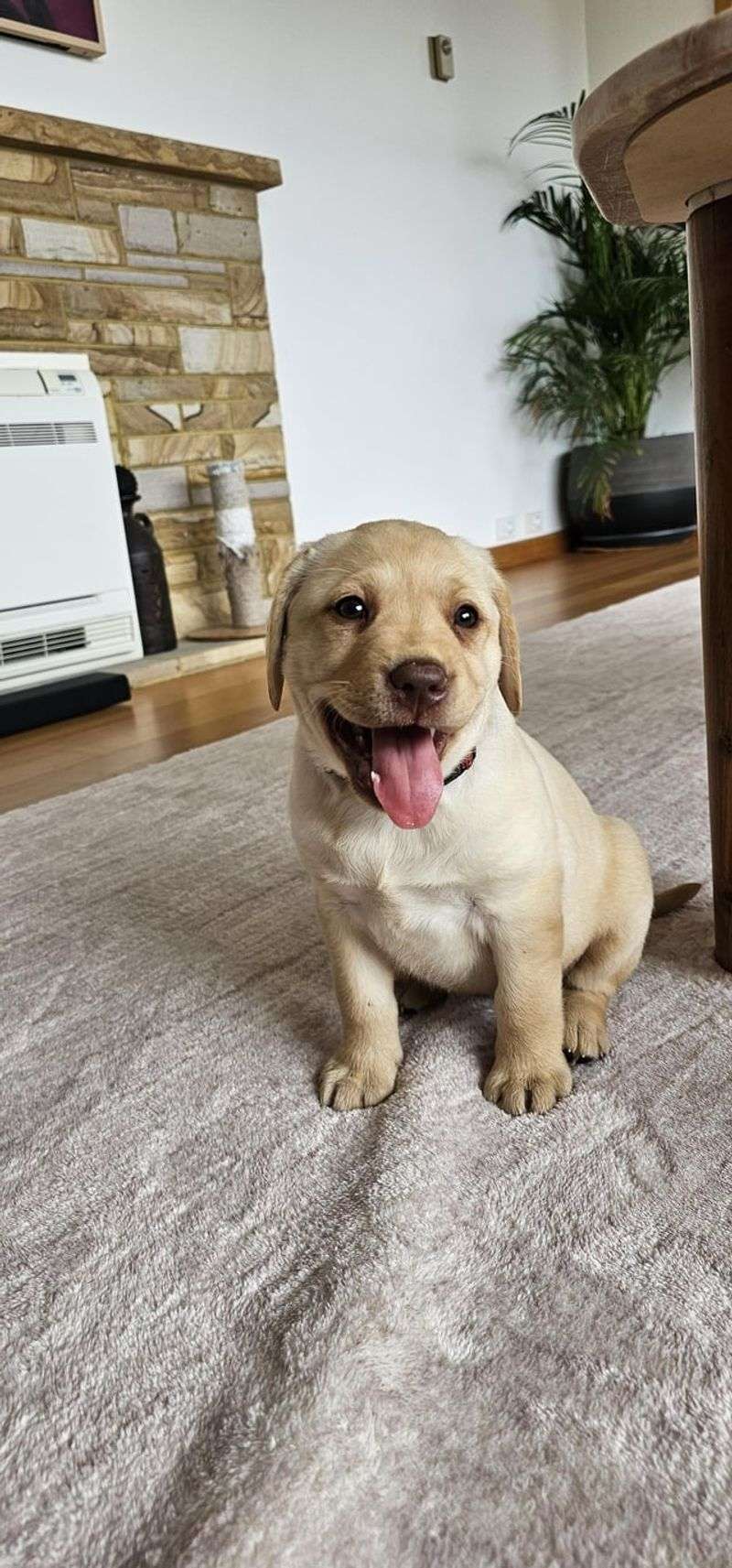 First Day Home