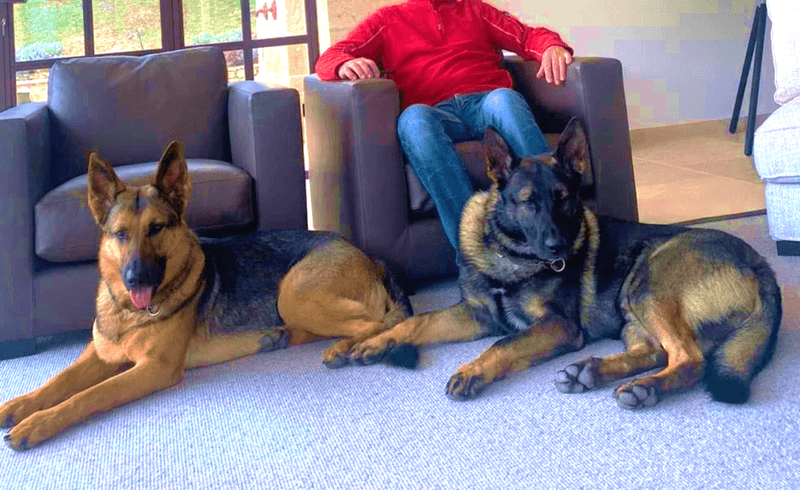Trust and Security