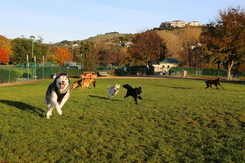 Community Involvement Promotes Green Spaces