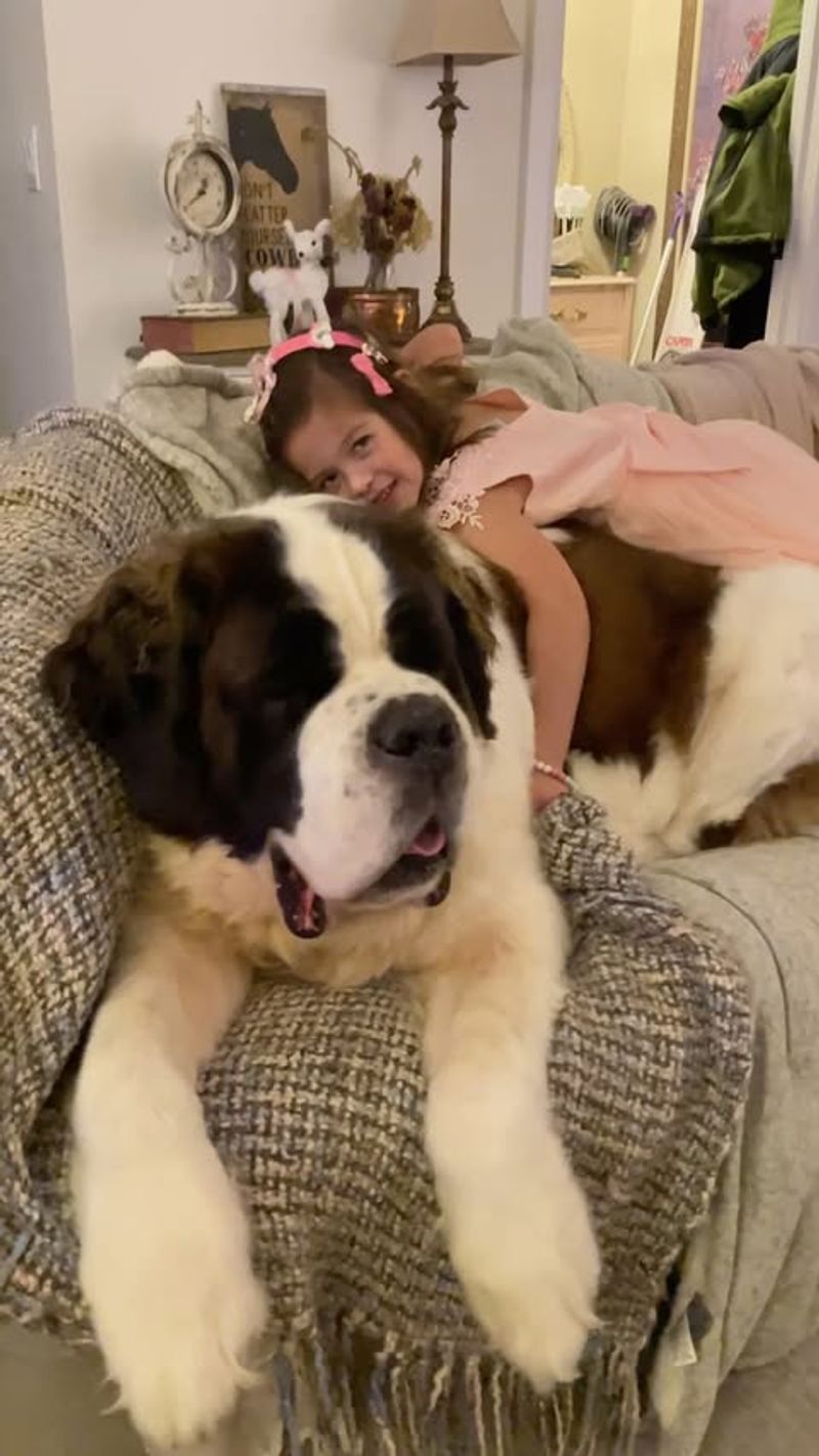 Saint Bernard