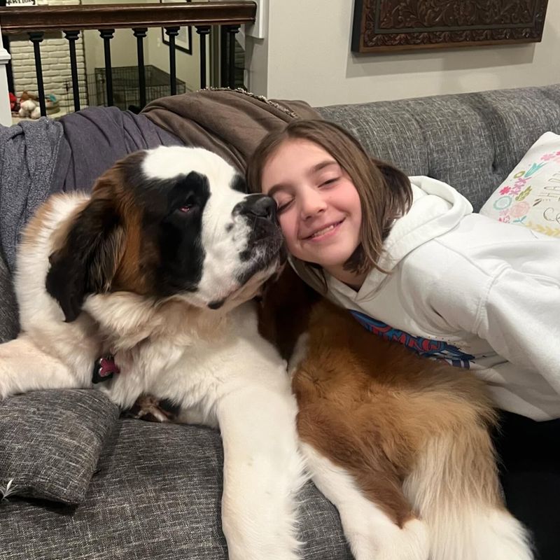 Saint Bernard