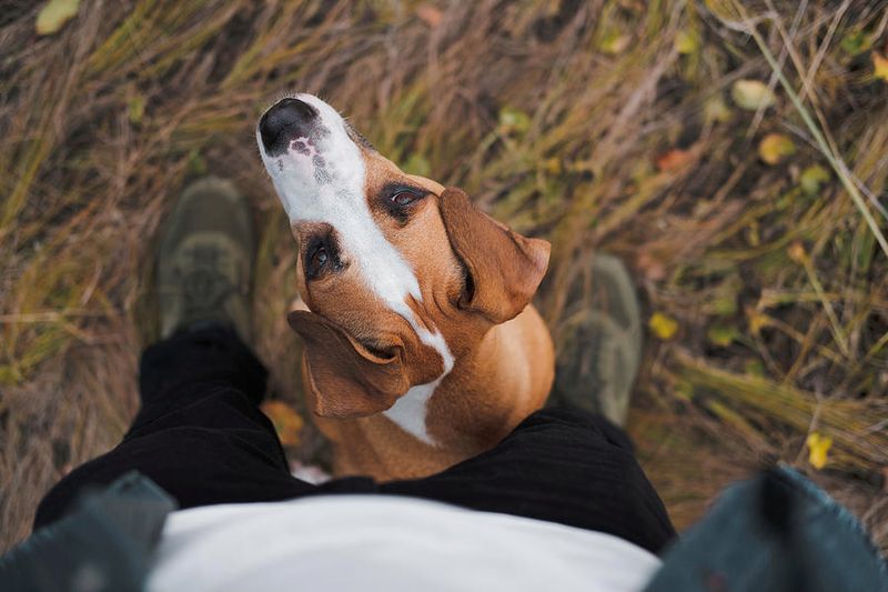 Sitting on Your Feet