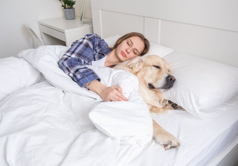 Joyful Snuggles