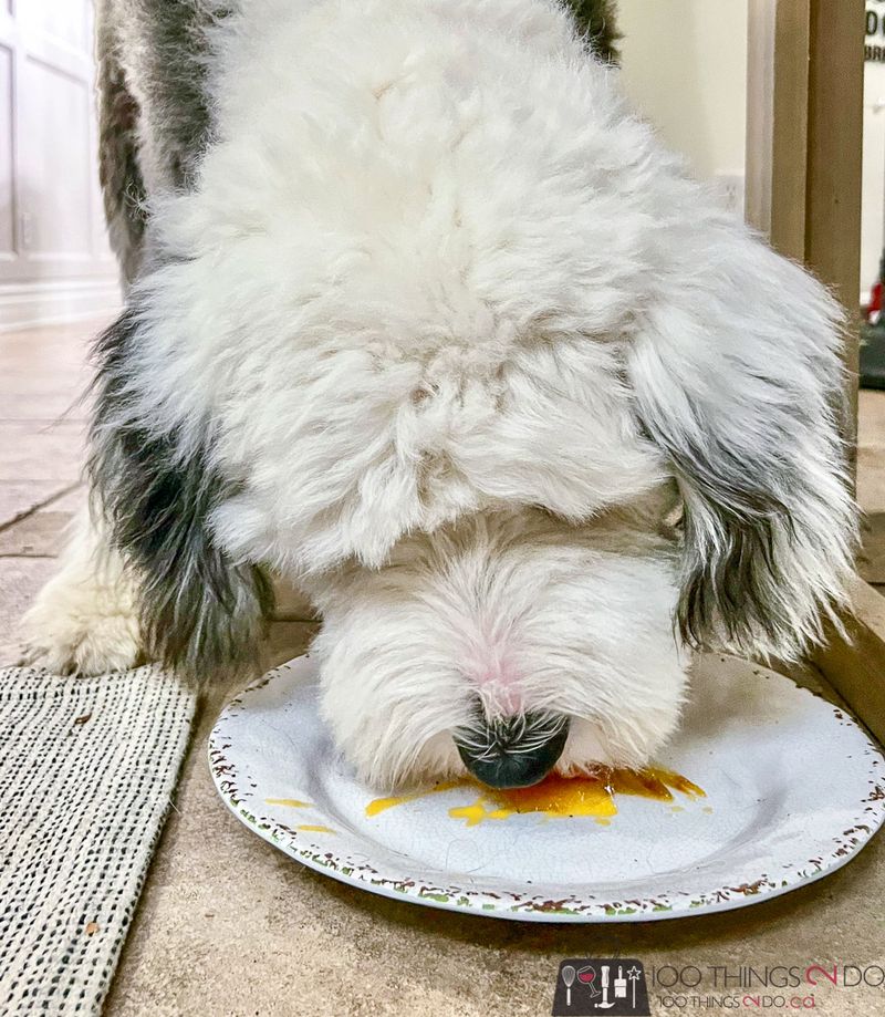 Pumpkin Puree Delight