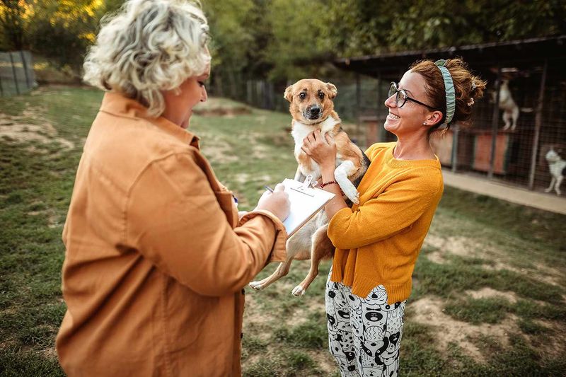 Promote Adoption Events
