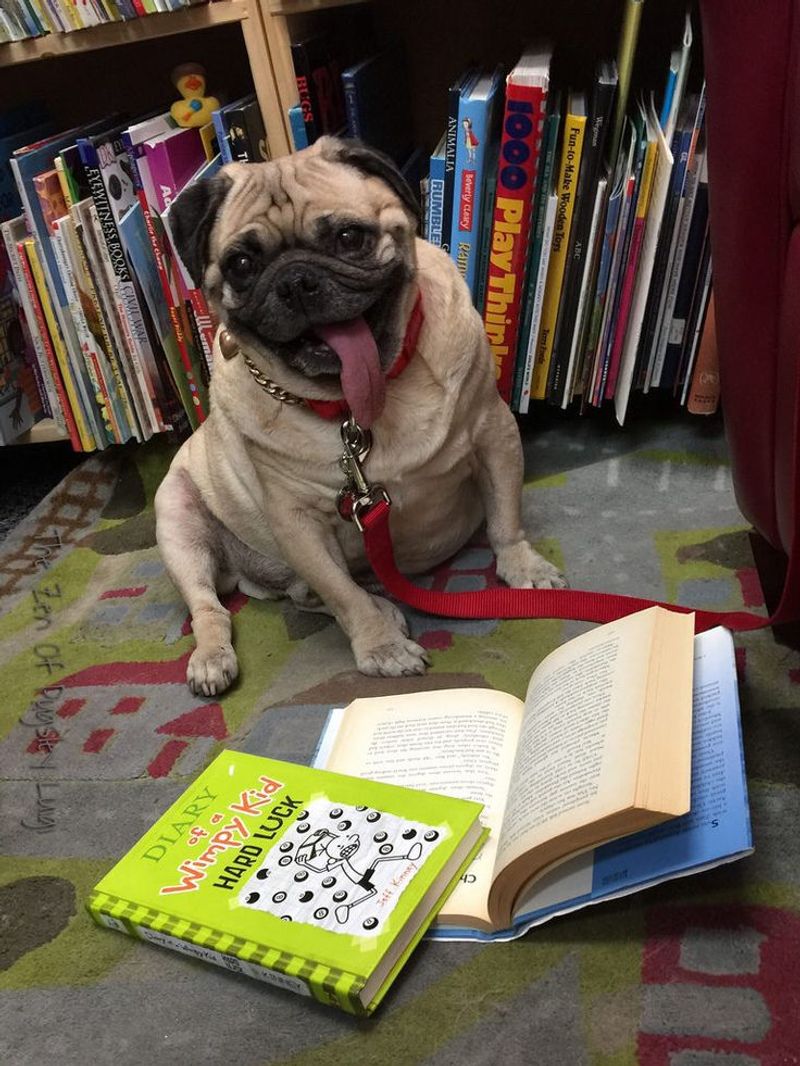 Interactive Story Time