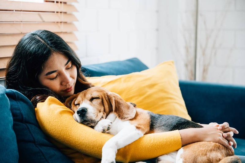 Calming Techniques