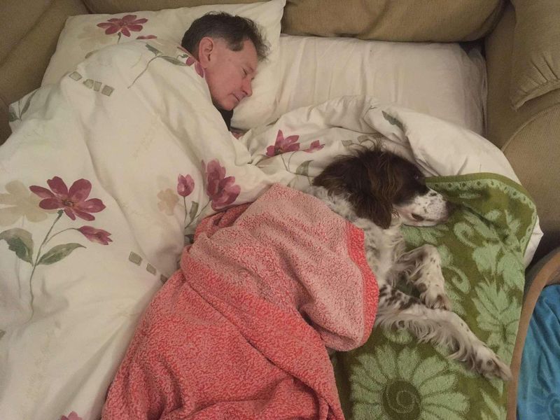 Companionship for Better Sleep