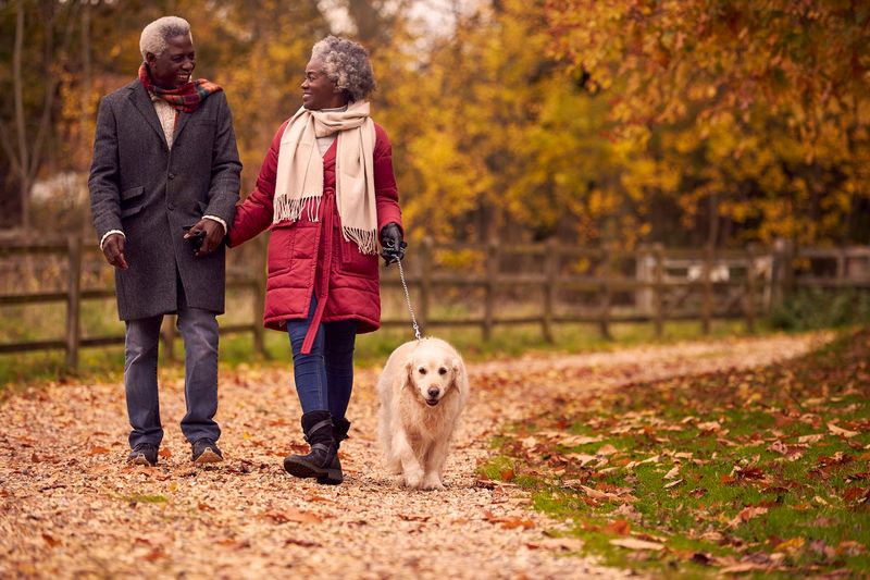 Walking for Wellness