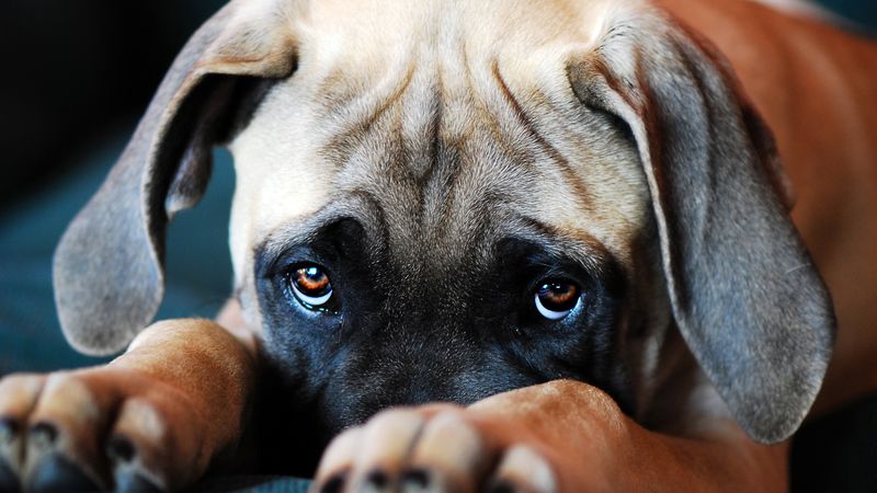 Soft Eye Contact
