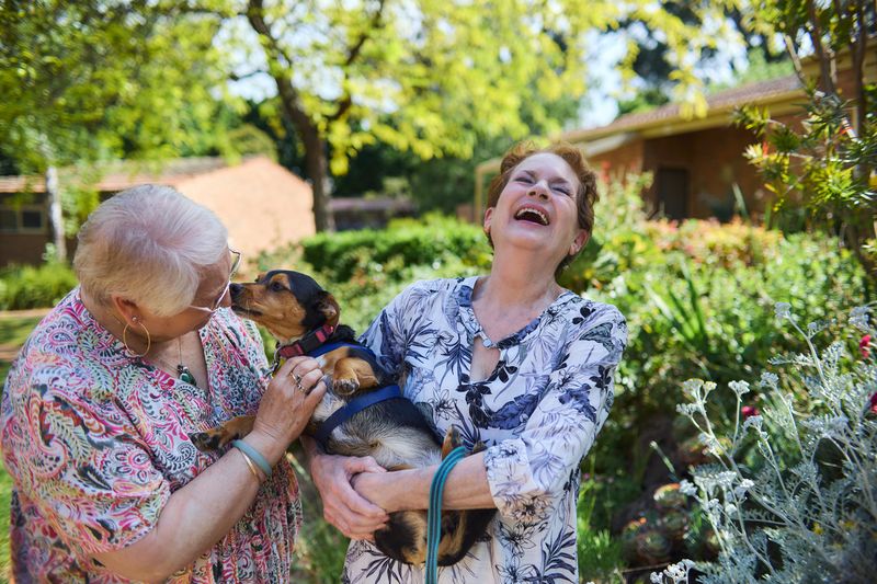 Gardening Companions