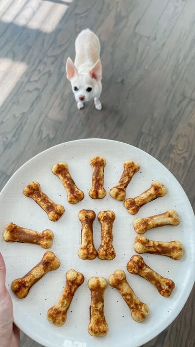 Cooking Dog-Friendly Treats