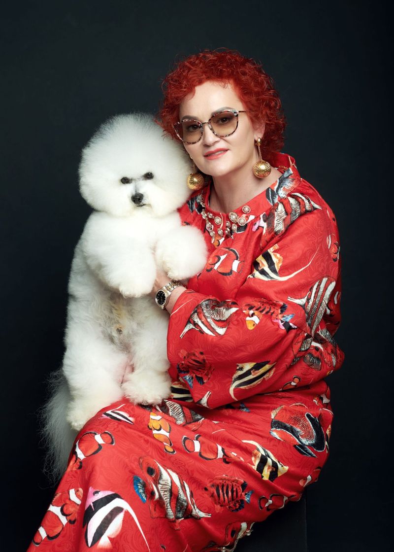 Bichon Frise