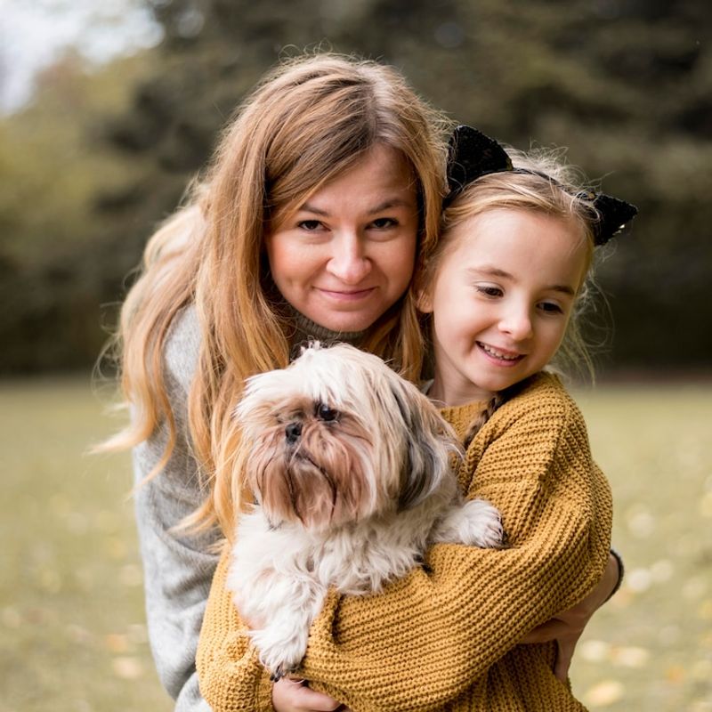 Shih Tzu