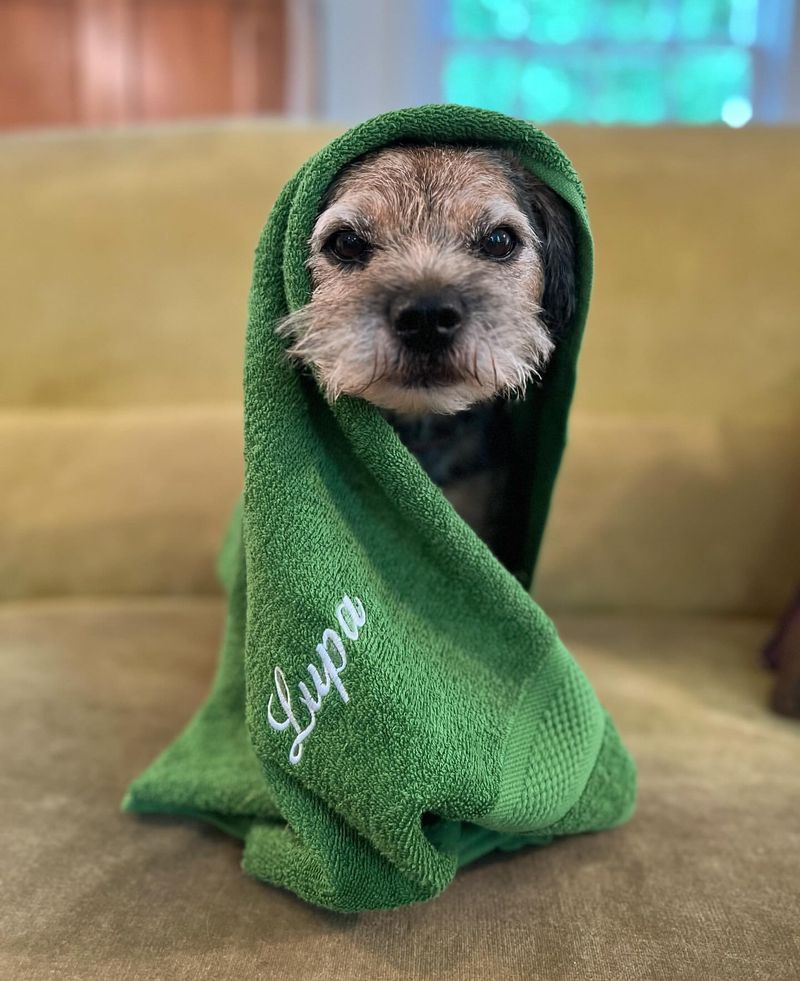 Wet Towel Wrap