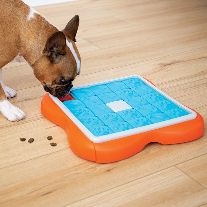 Utilize Puzzle Toys