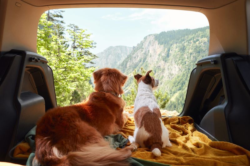 Pet-friendly Travel
