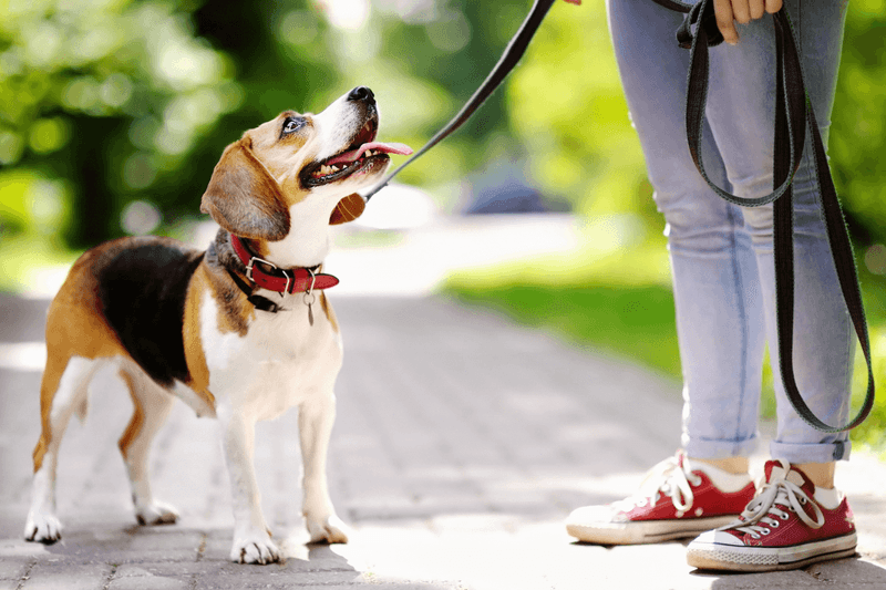 Checking In During Walks