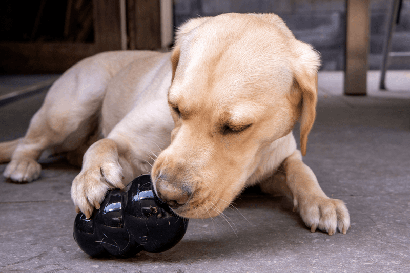 Rawhide Chews