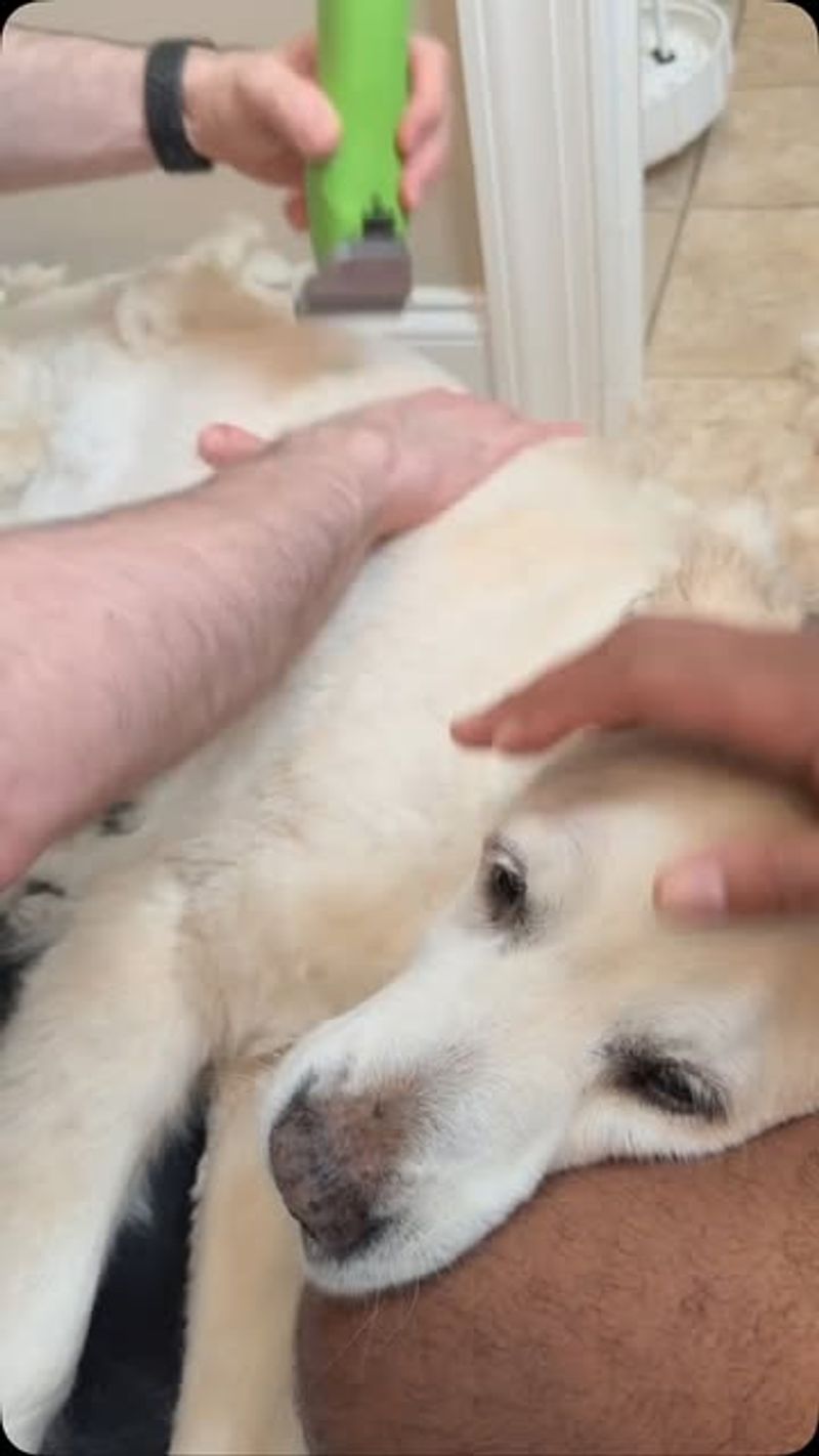 Changes in Grooming Habits