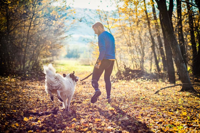 Nostalgic Walks