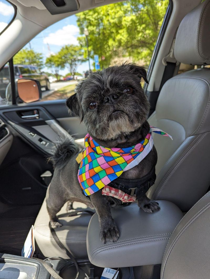 Pug-Zu