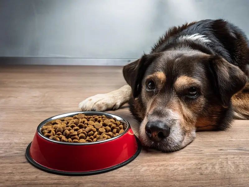 Lack of Interest in Food
