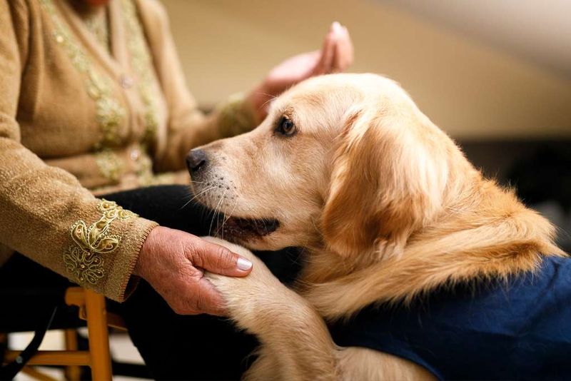 Emotional Support