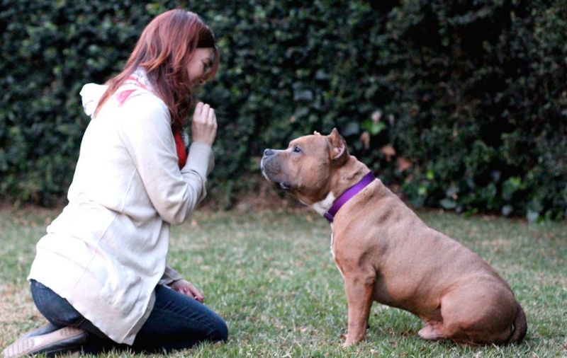 Positive Reinforcement Training