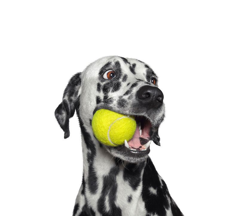 Tennis Balls