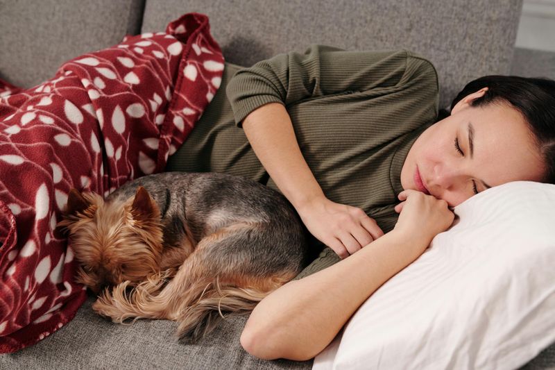 Improves Sleep Quality