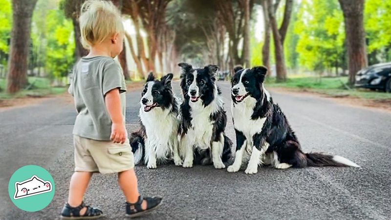The Playful Guardian