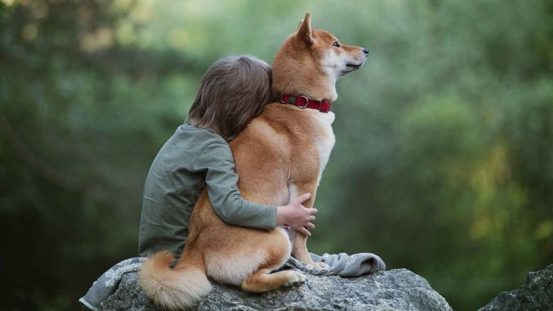 The Protective Stance