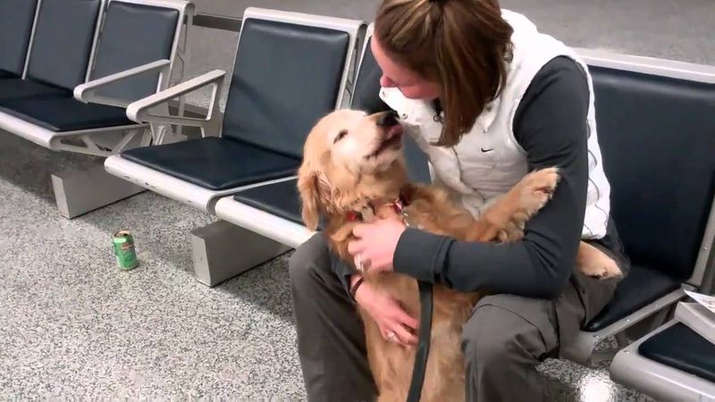 The Welcome Home Wag